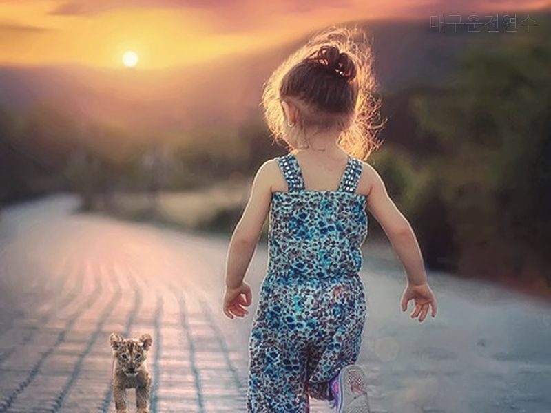 대구운전연수 후기