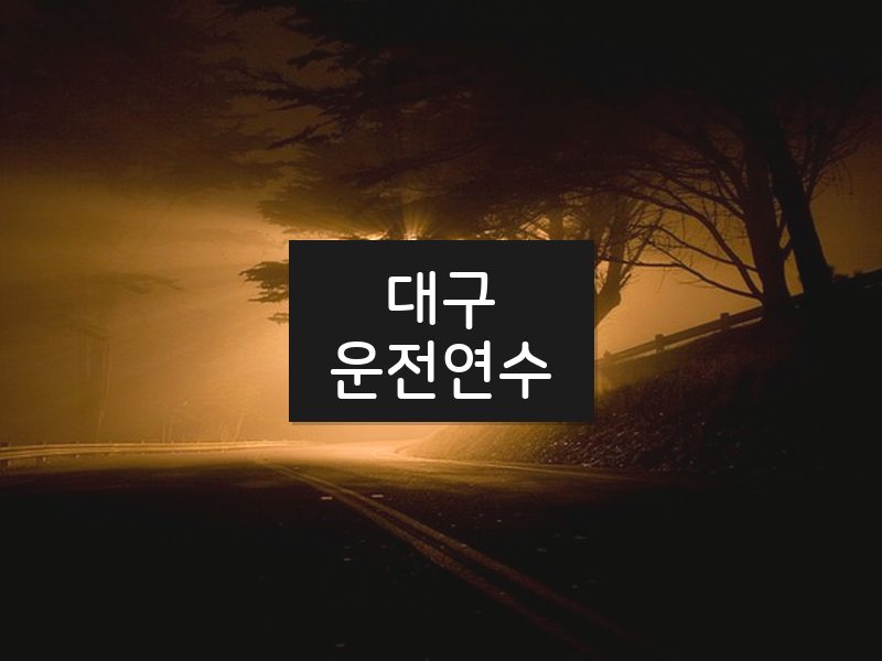 대구운전연수 후기