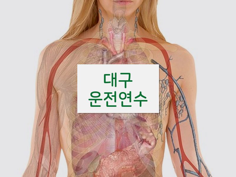 대구운전연수 후기