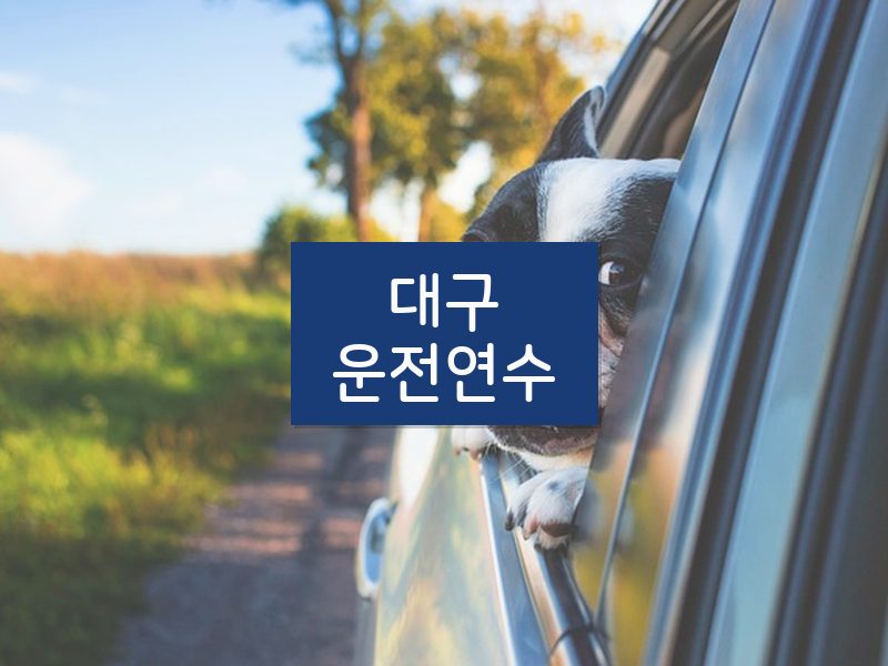 대구운전연수 후기