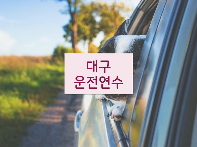 대구운전연수 후기