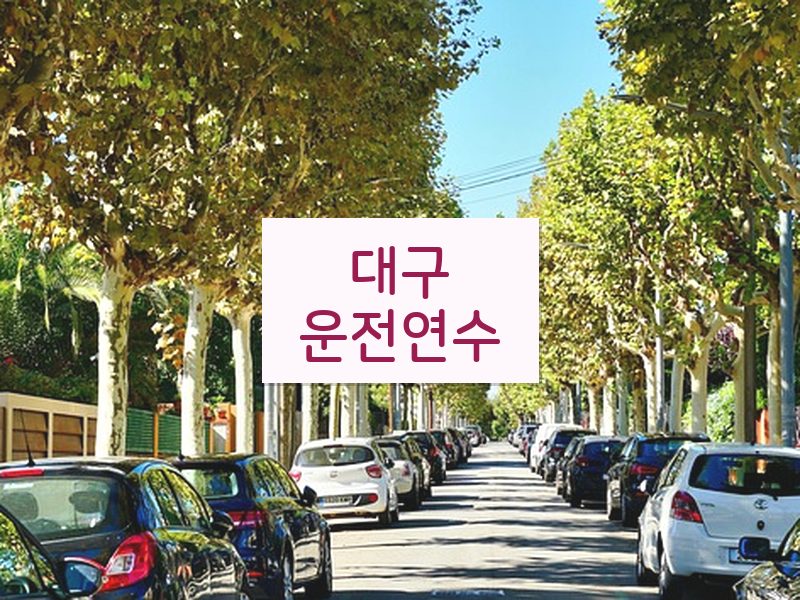 대구운전연수 후기