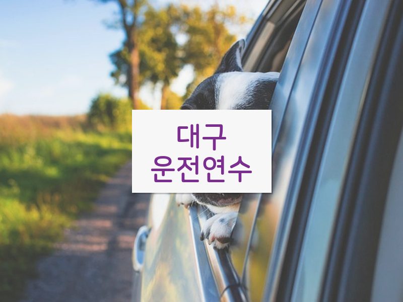 대구운전연수 후기