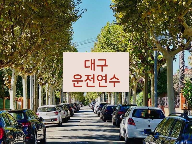 대구운전연수 후기