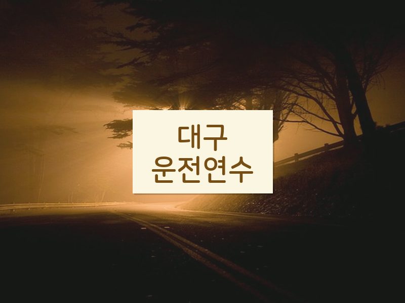 대구운전연수 후기