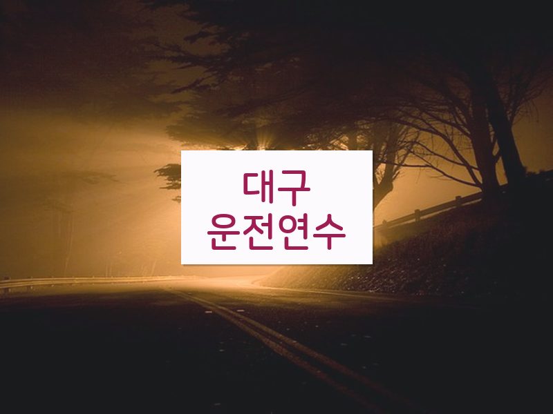 대구운전연수 후기