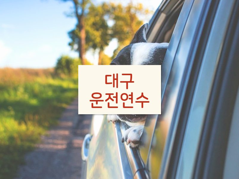 대구운전연수 후기