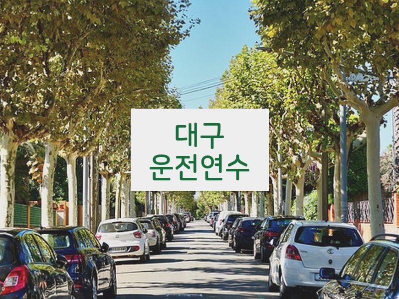 대구운전연수 후기