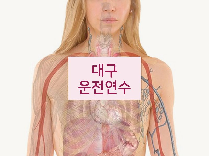 대구운전연수 후기