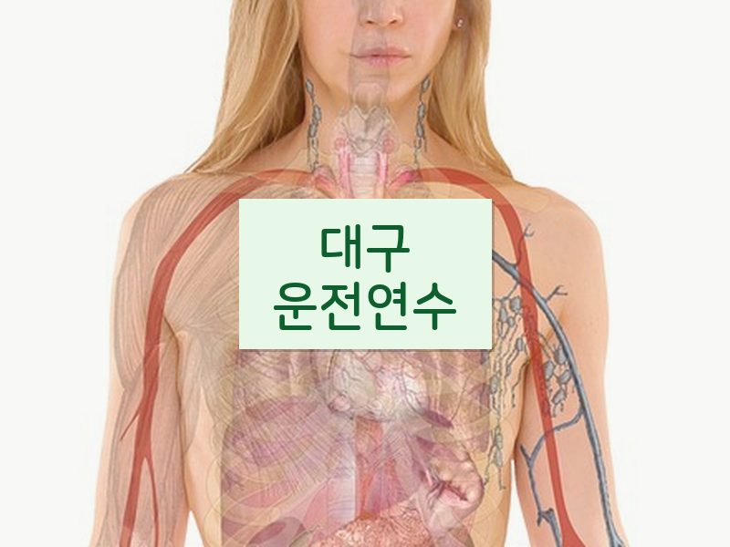 대구운전연수 후기