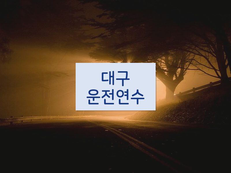 대구운전연수 후기