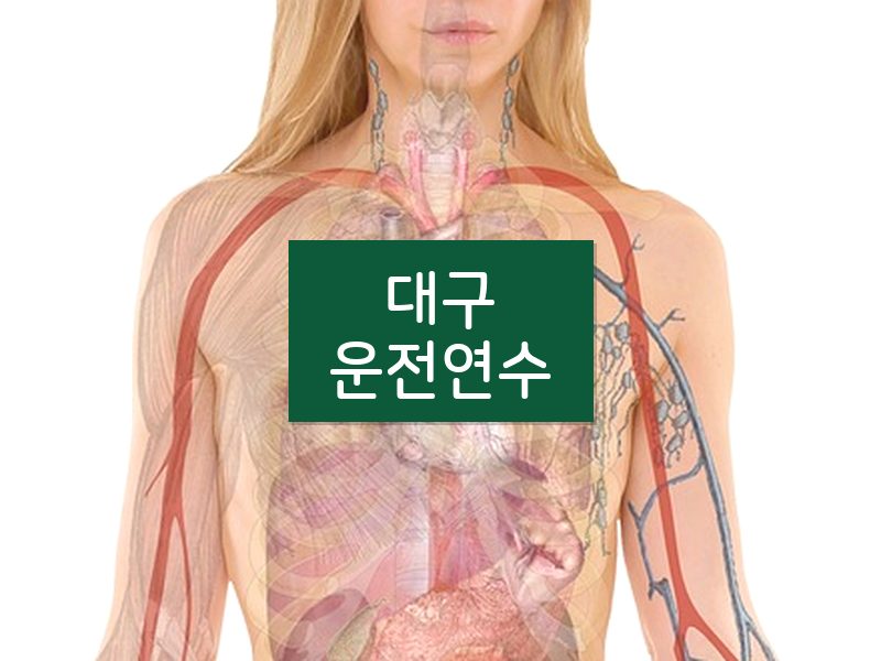 대구운전연수 후기