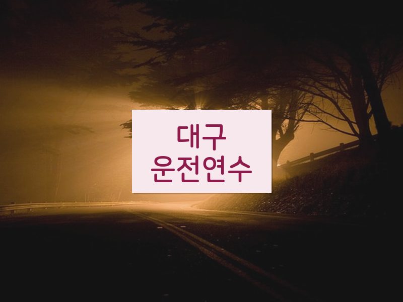 대구운전연수 후기