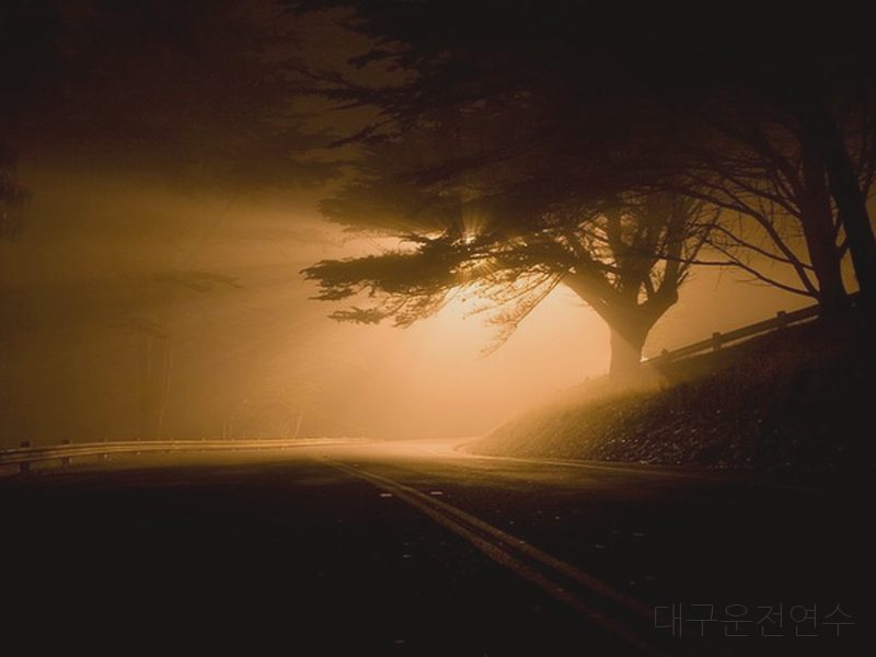 대구운전연수 후기