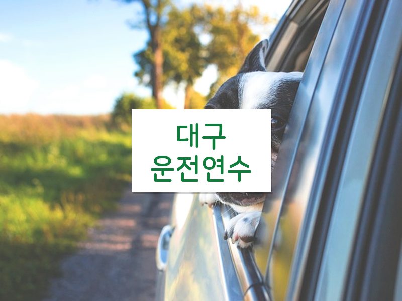대구운전연수 후기