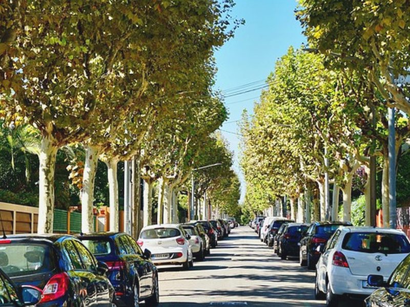 대구운전연수 후기