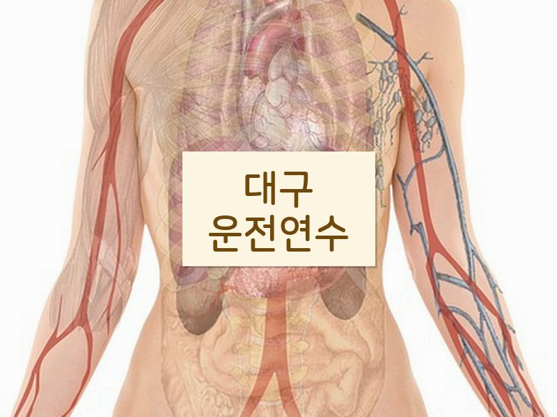 대구운전연수 후기