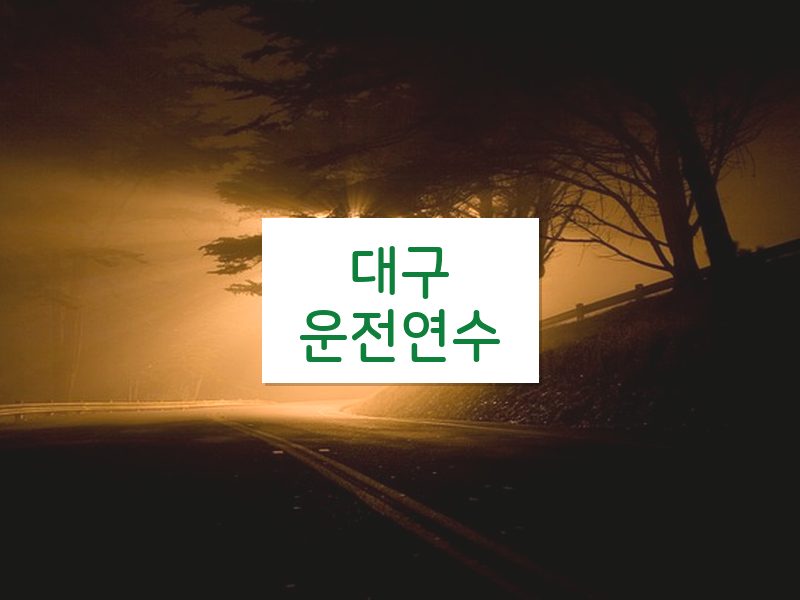 대구운전연수 후기