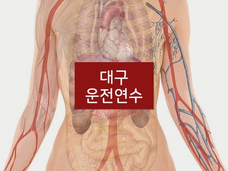 대구운전연수 후기