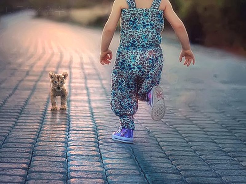 대구운전연수 후기