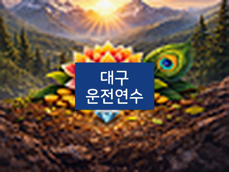 대구운전연수 후기
