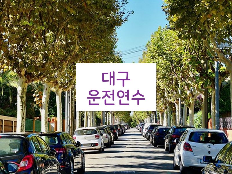 대구운전연수 후기