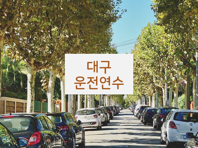 대구운전연수 후기