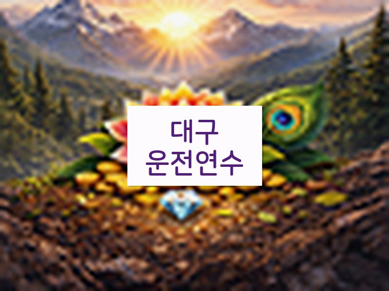 대구운전연수 후기