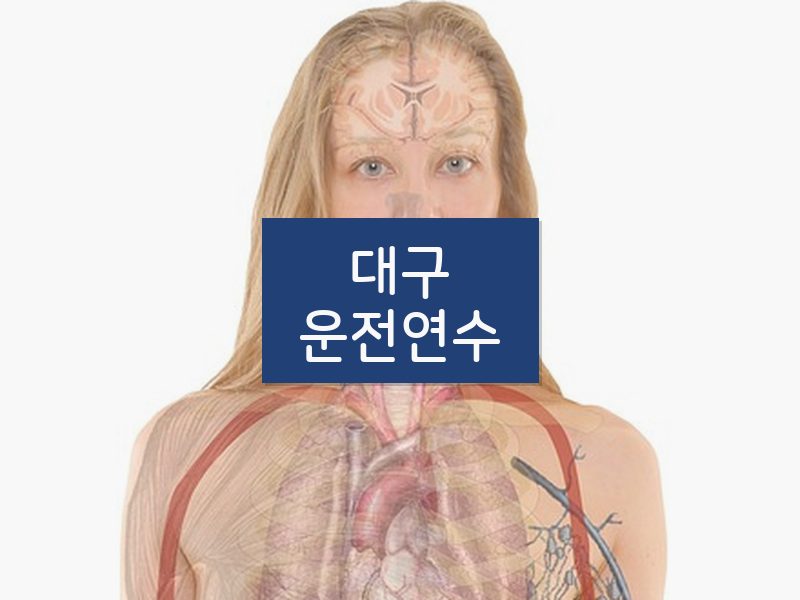 대구운전연수 후기