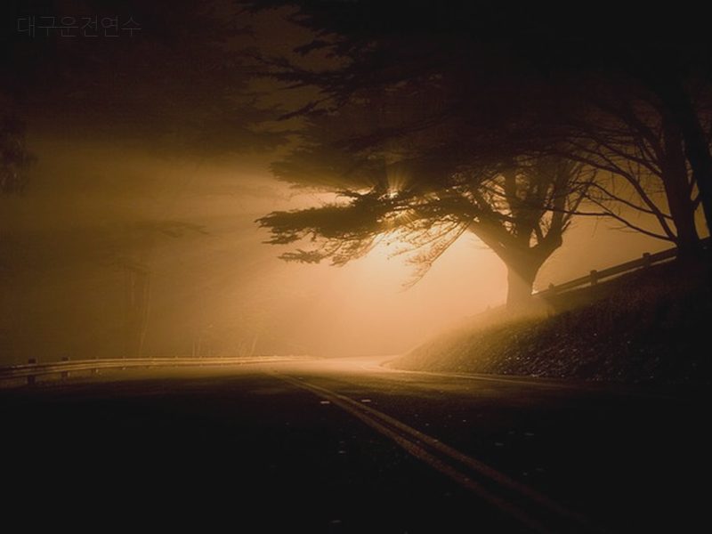 대구운전연수 후기