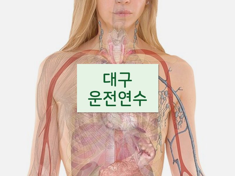 대구운전연수 후기