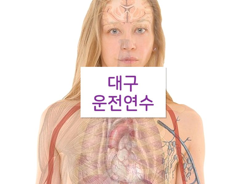 대구운전연수 후기