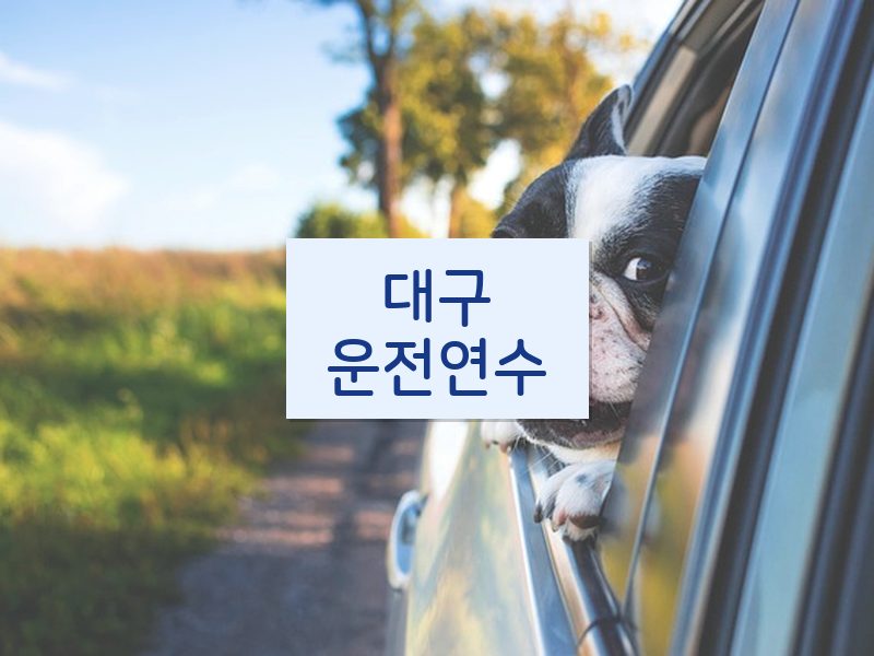 대구운전연수 후기