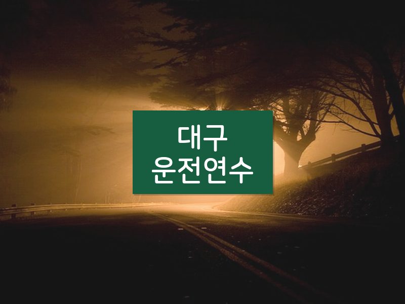 대구운전연수 후기