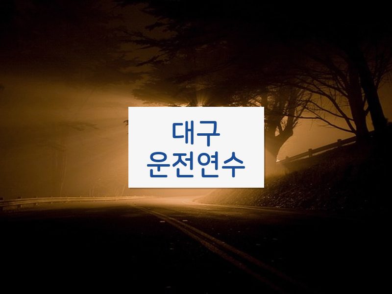 대구운전연수 후기