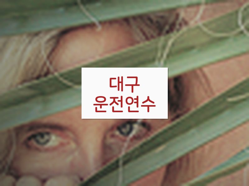 대구운전연수 후기