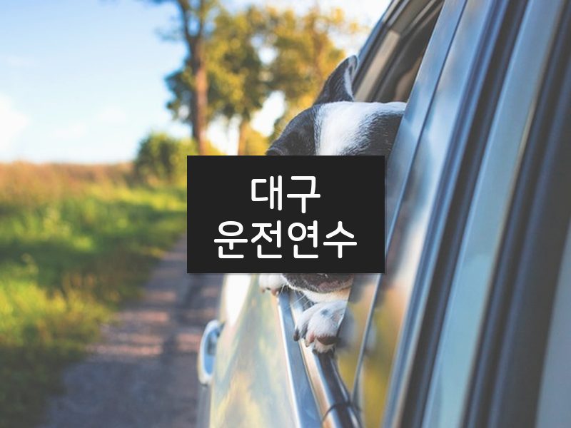 대구운전연수 후기
