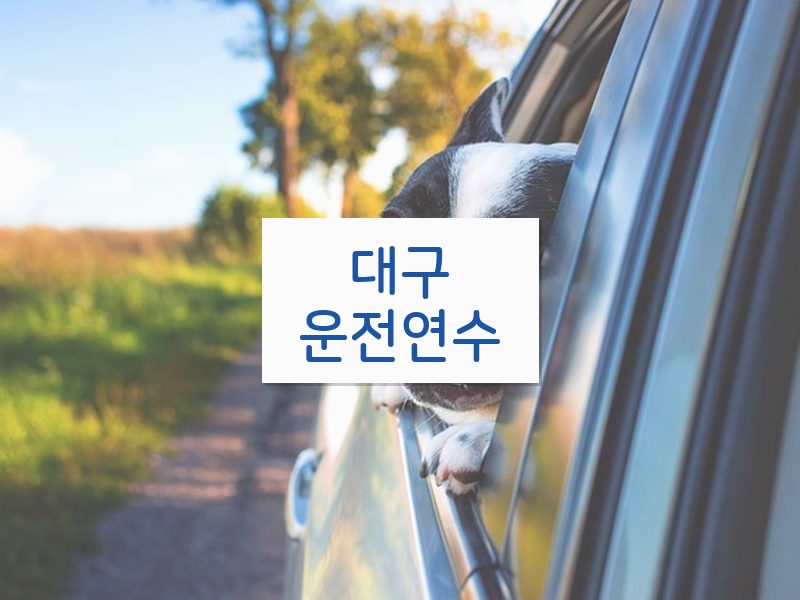 대구운전연수 후기