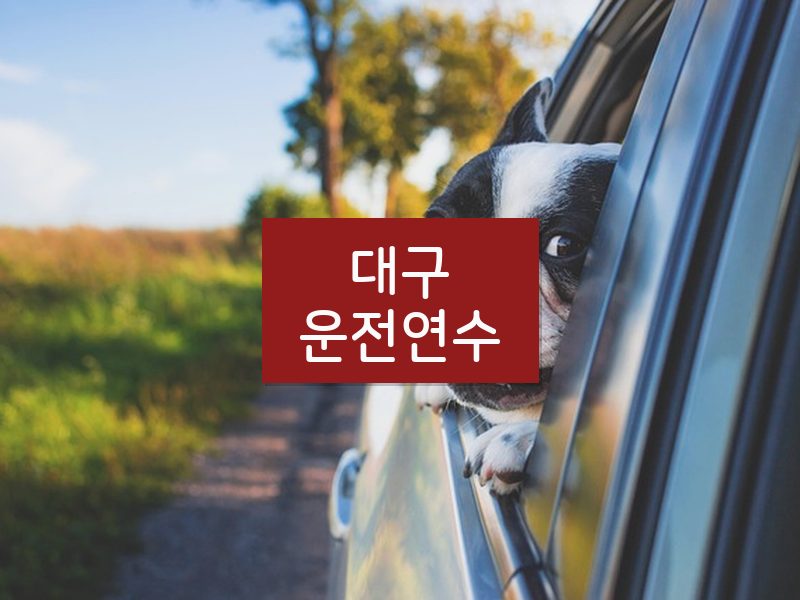 대구운전연수 후기