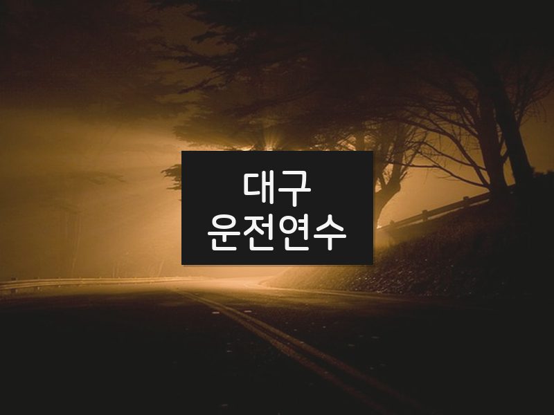대구운전연수 후기