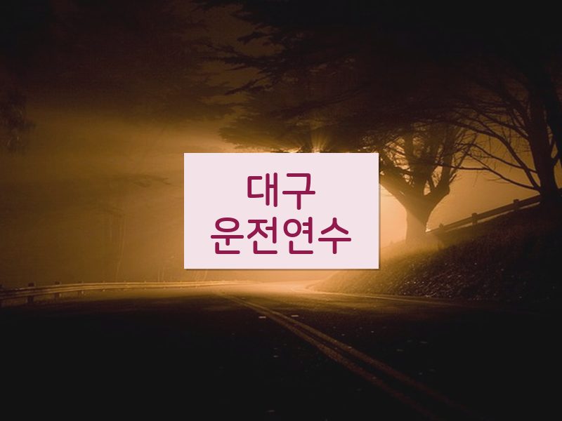 대구운전연수 후기