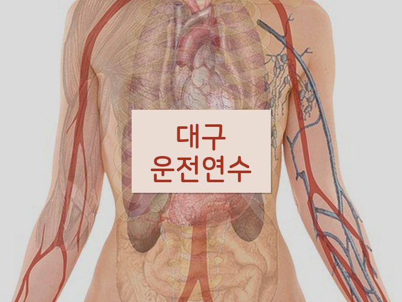 대구운전연수 후기