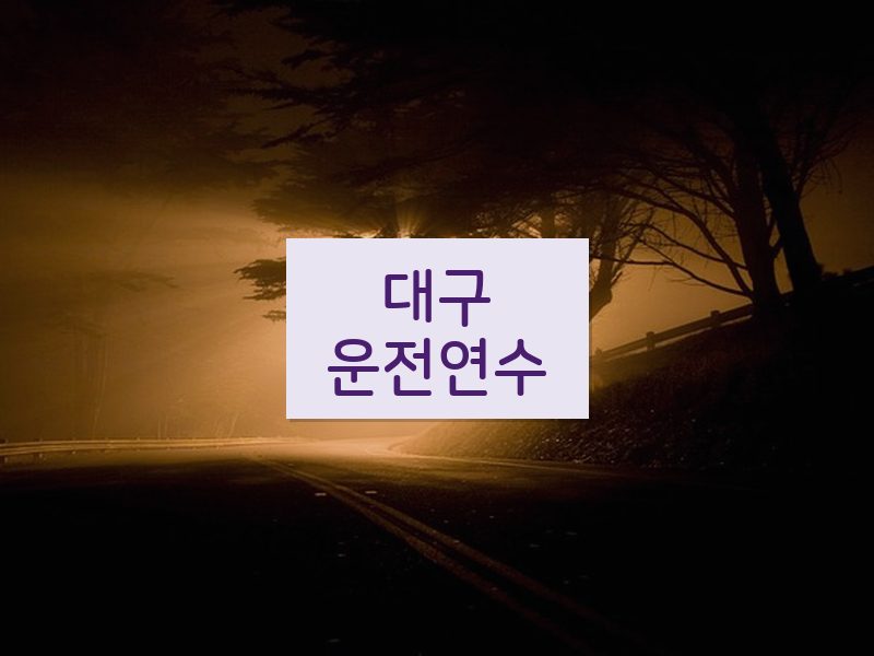 대구운전연수 후기