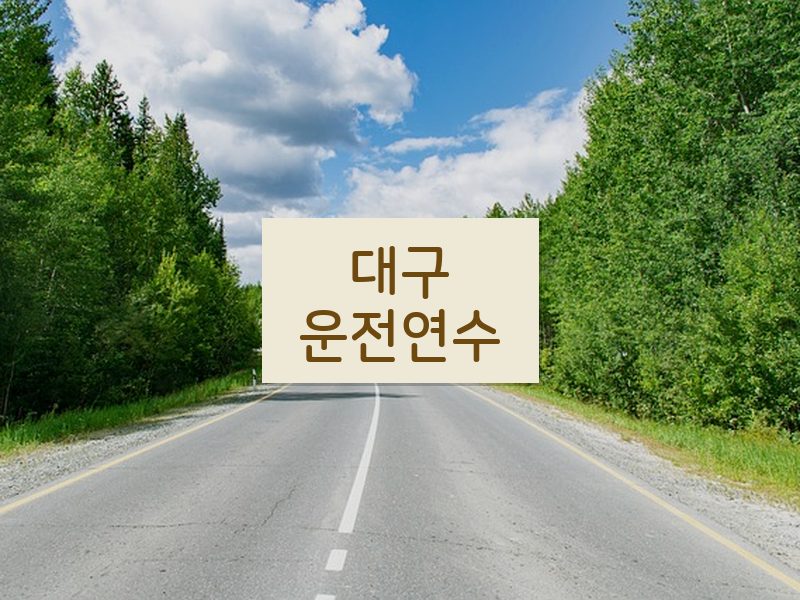 대구운전연수 후기