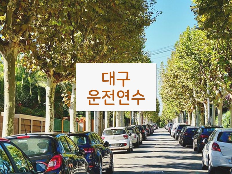 대구운전연수 후기