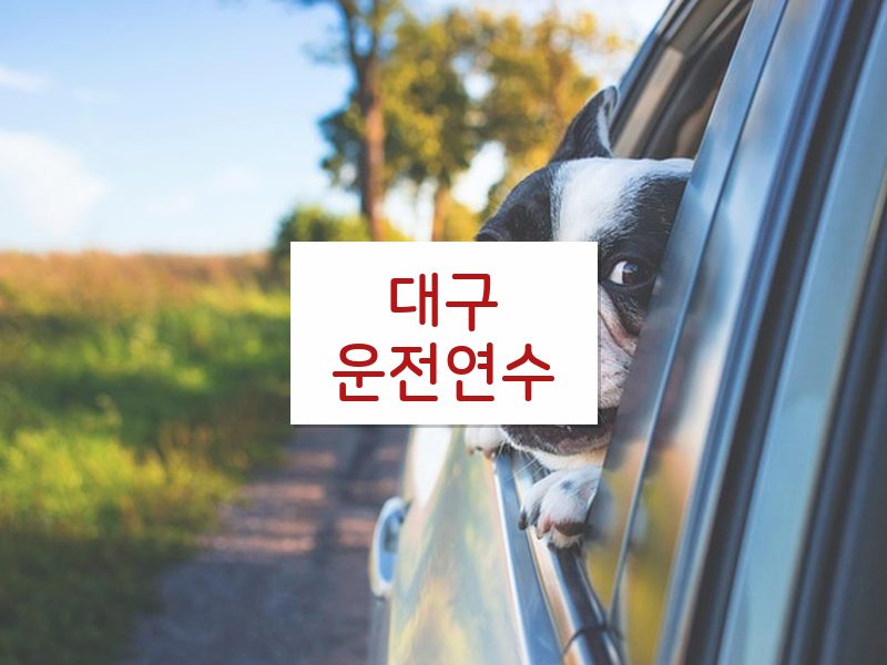대구운전연수 후기