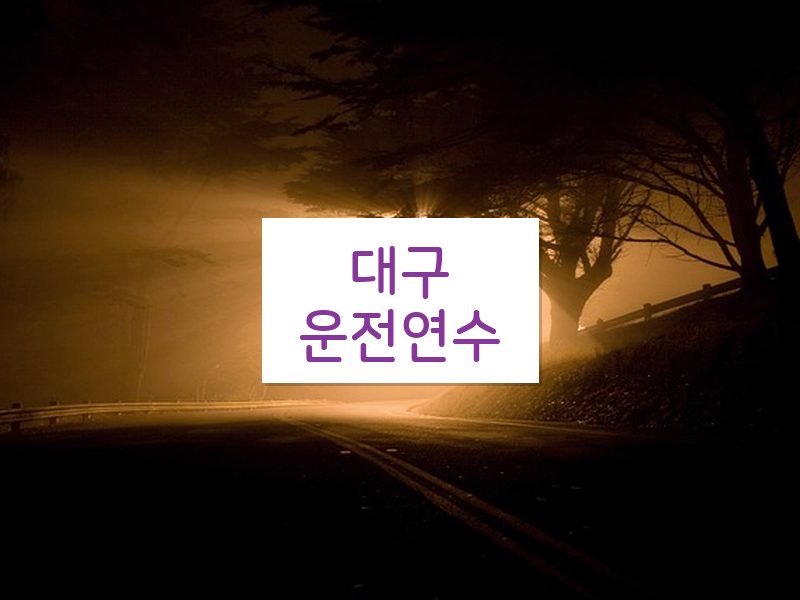 대구운전연수 후기