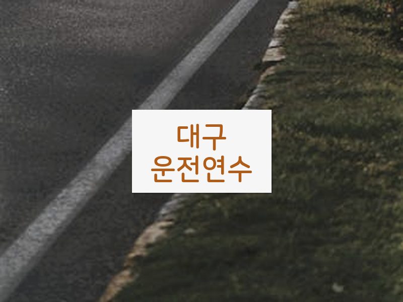 대구운전연수 후기