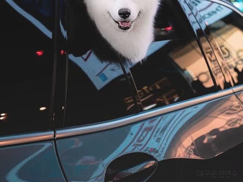 대구운전연수 후기