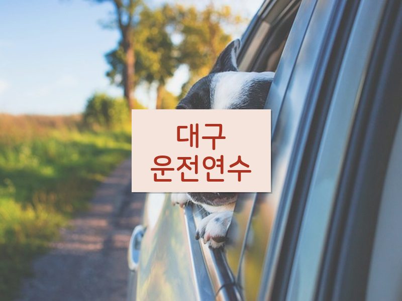 대구운전연수 후기